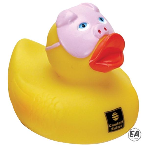 Pig rubber duck online